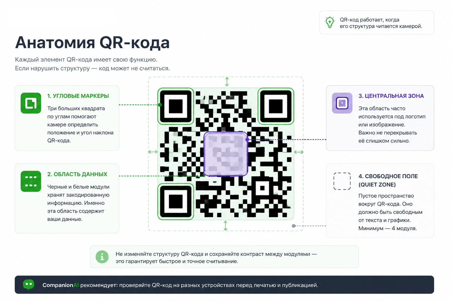 Инфографика анатомия QR-кода — угловые маркеры, область данных, центральная зона и свободное поле